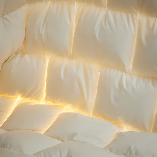 Temperature-controlled 95 white goose down quilt