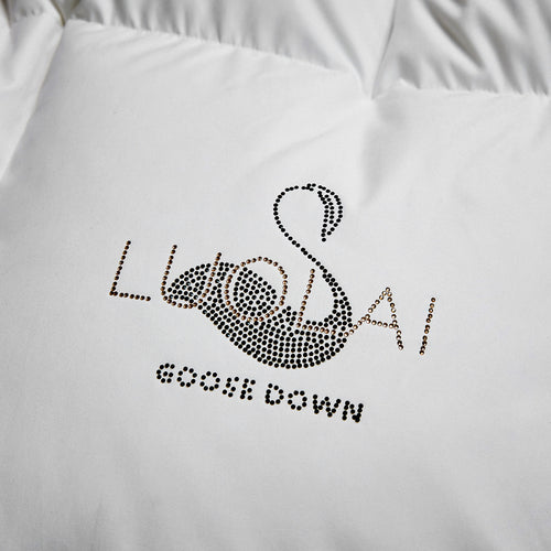Temperature-controlled 95 white goose down quilt