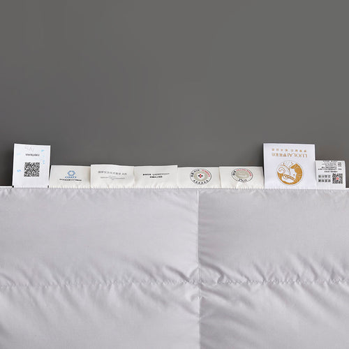 智享 95 鹅绒冬被