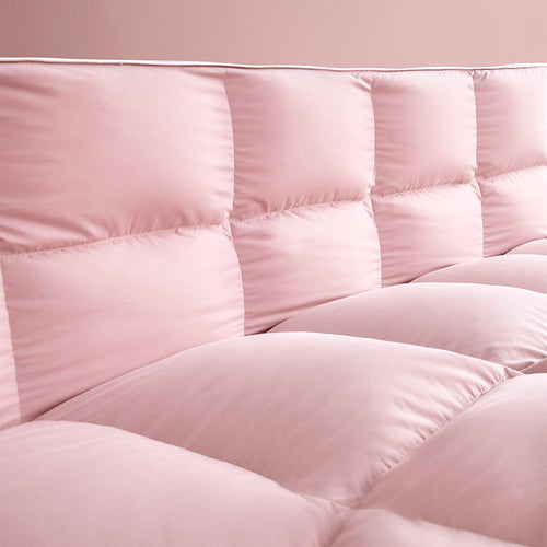 智享 95 鹅绒冬被